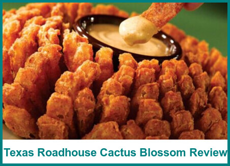 Texas Roadhouse Cactus Blossom Review